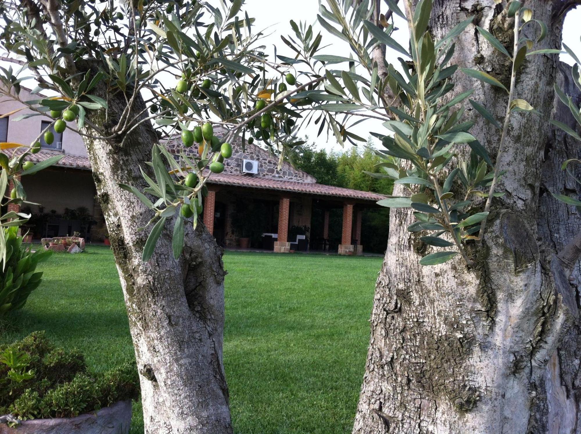 Agriturismo Il Giglio Oristano Exterior foto