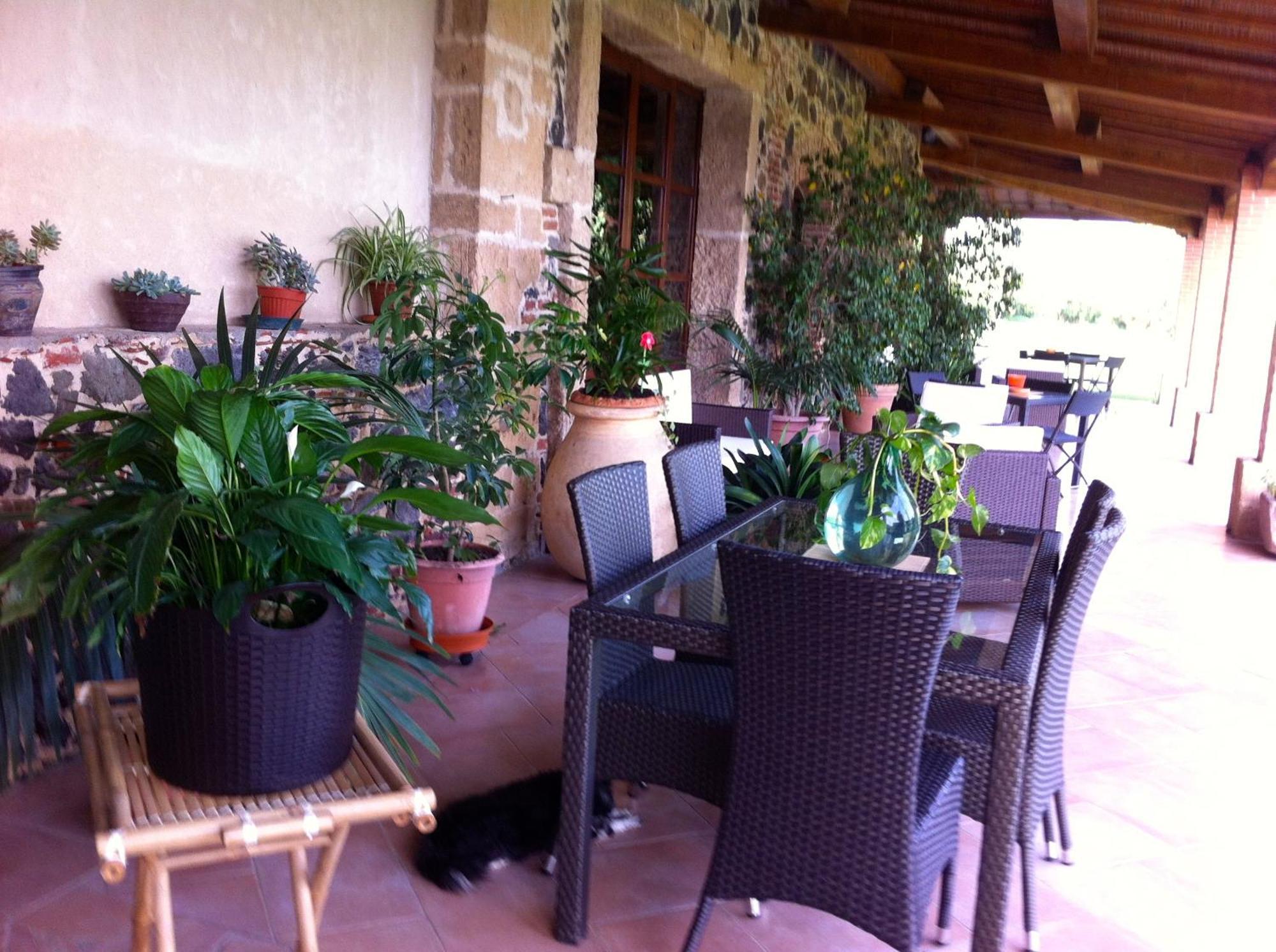 Agriturismo Il Giglio Oristano Exterior foto